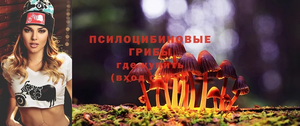 экстази Сафоново