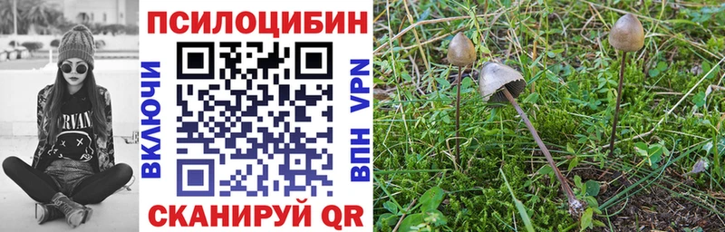 Галлюциногенные грибы Magic Shrooms  Анадырь 